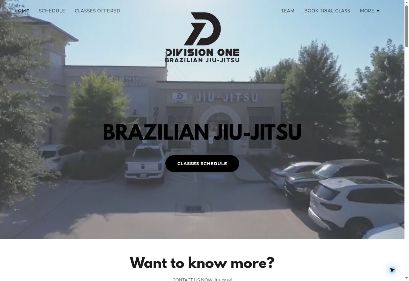 Screenshot of the Division One Brazilian Jiu-Jitsu website