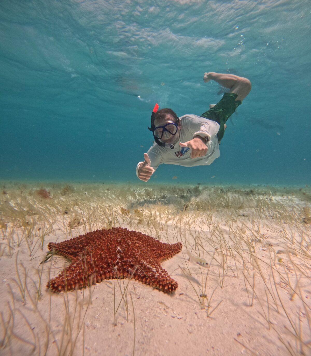 Underwater travel adventure above a starfish